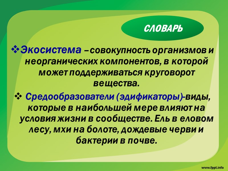 Преобразование солнечной энергии, накопление и перераспределение ее продуцентами, консументами, редуцентами - это основа круговорота