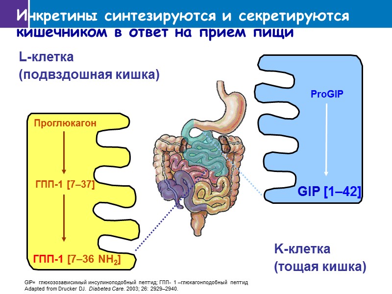 Препараты инкретинового ряда Жилатье - ящерица-монстр из семейства ядозубов