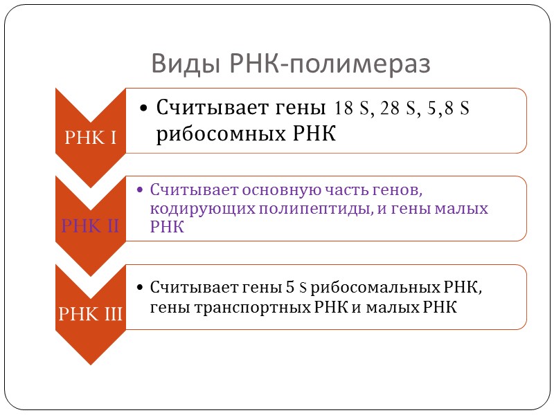 Особенности транскрипции эукариот Кэп, 5'-кэп, или кэп-структура  — структура на 5’ – конце