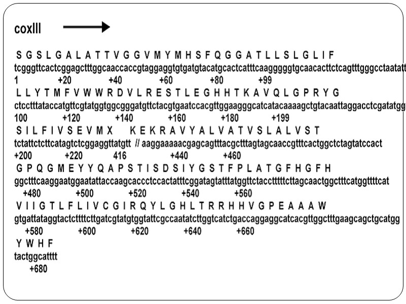 Карты хромосом человека Генетические Цитологические