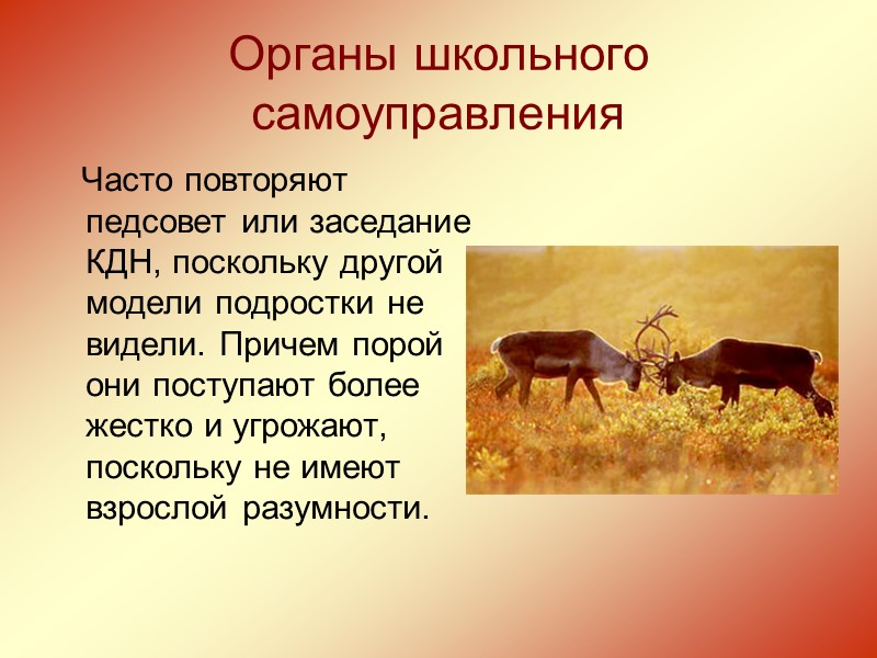 Никакой ребенок не будет думать об уроке, если у него конфликт, его после школы