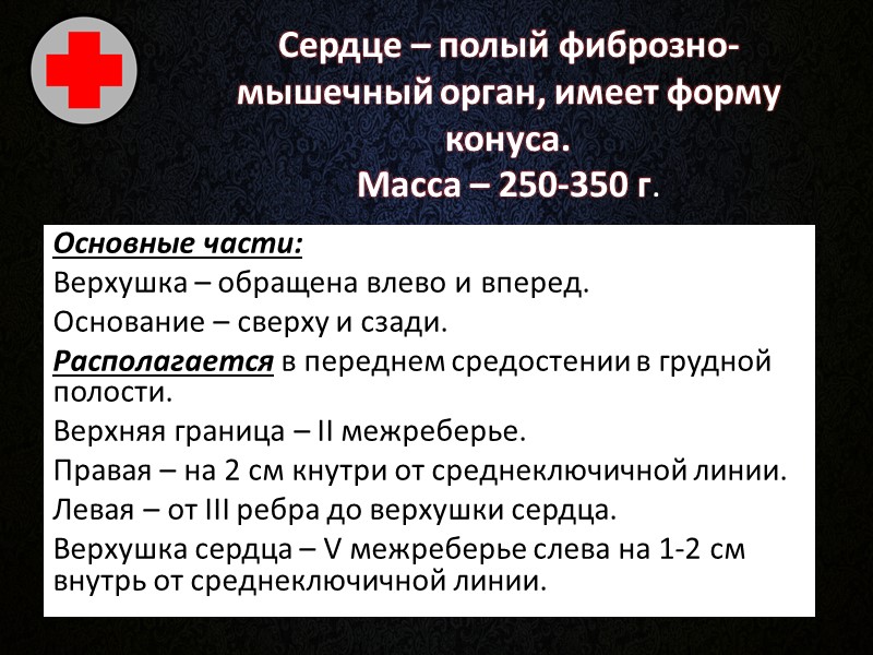 Мышца, противопоставляющая большой палец кисти  Входит в состав возвышения большого пальца, обычно частично