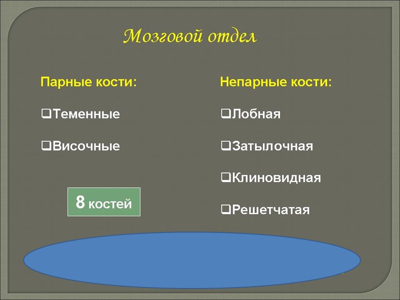 Короткий разгибатель пальцев Это единственная мышца, находящаяся на тыльной стороне стопы. Часть короткого разгибателя