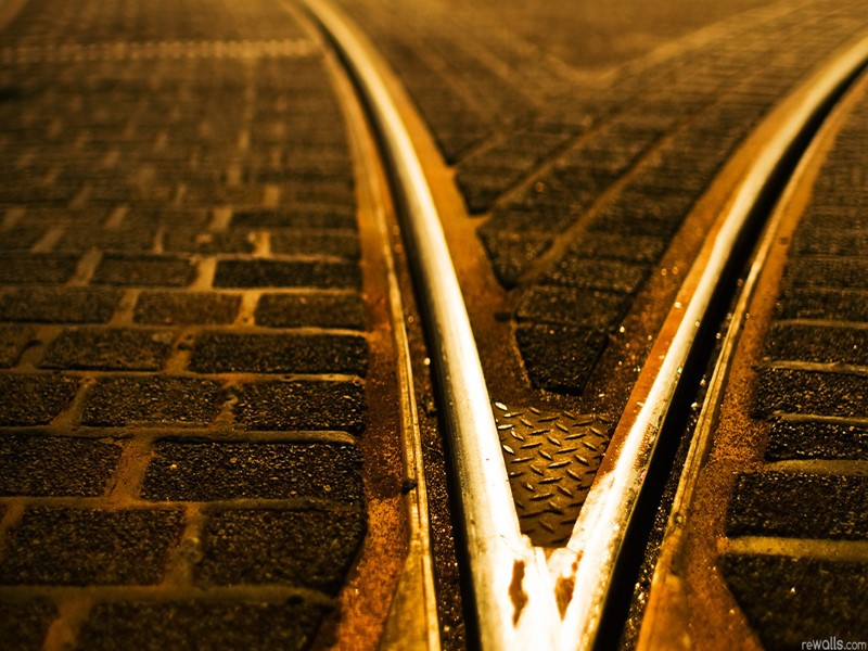 Что делают люди, когда сидят в жюри ?