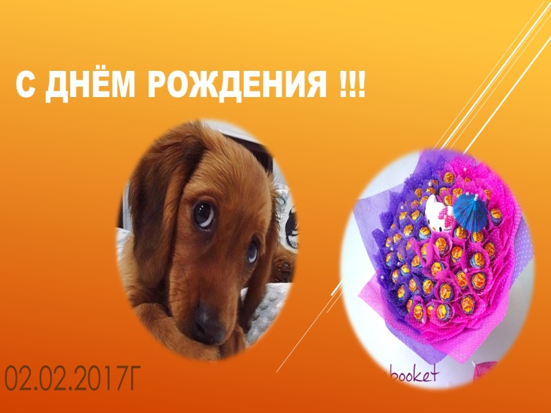 С ДНЁМ РОЖДЕНИЯ !!! 02.02.2017Г