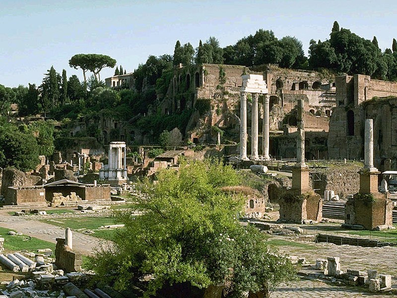 Художественная культура Рима отличалась большим разнообразием и пестротой форм, в ней были отражены черты,