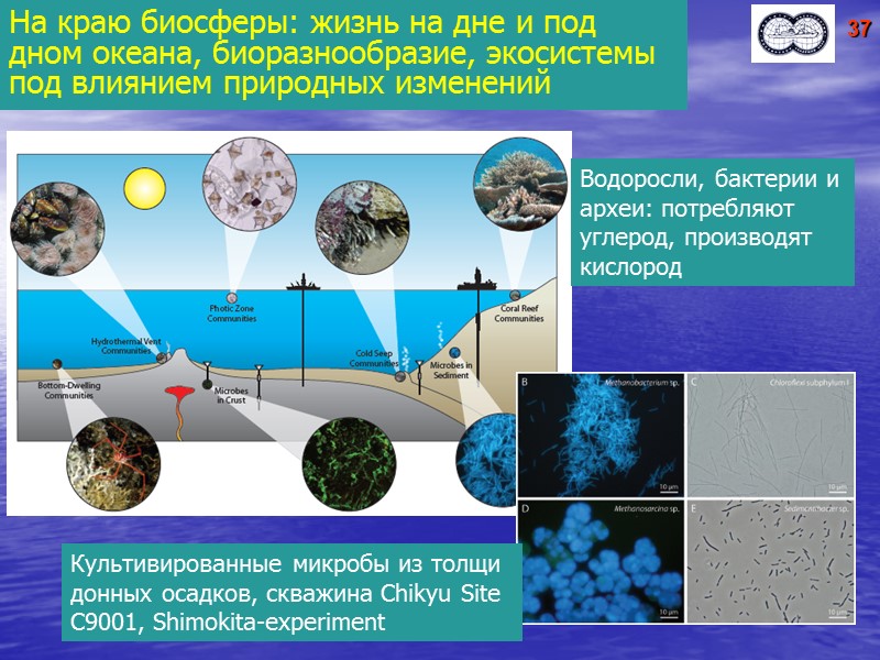 Новая международная программа научного глубоководного бурения дна океана