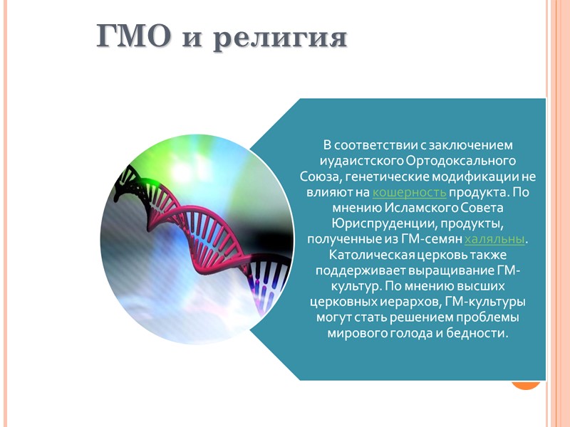 Информация для данной презентации была взята с : http://www.prodobavki.com/ http://immunologia.ru/1-spe.html http://www.piter-stroi.ru/find/ctx_id/354005/fs И на последок