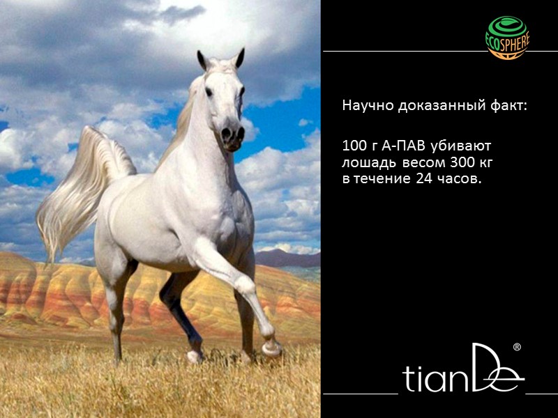 Формулу первого стирального порошка изобрел немец Фритц Хенкель в 1876 году   