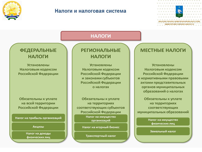 Единый государственный налог