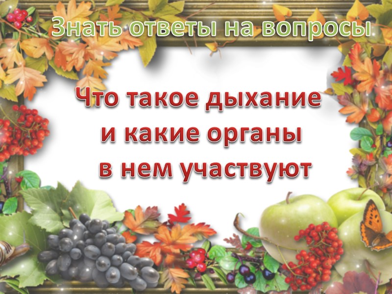 Знать ответы на вопросы Каким образом  испаряется вода  с листьев растений?
