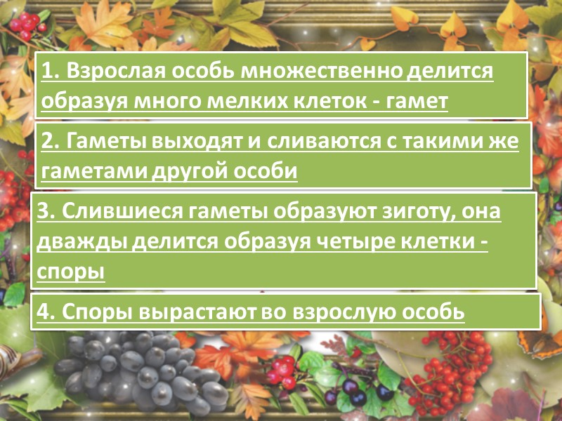 1.Процесс обмена газами 2. Дышат: лист через устьице, стебель через чечевички, корень через поры,
