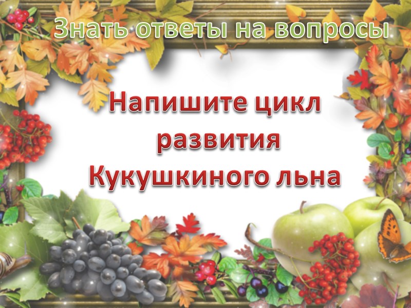 1. По сосудам вода поднимается к листьям 2. В листьях под действием света соединяется