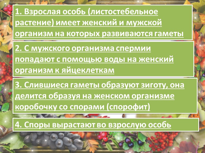 Знать ответы на вопросы Какова роль  фотосинтеза для жизни на Земле