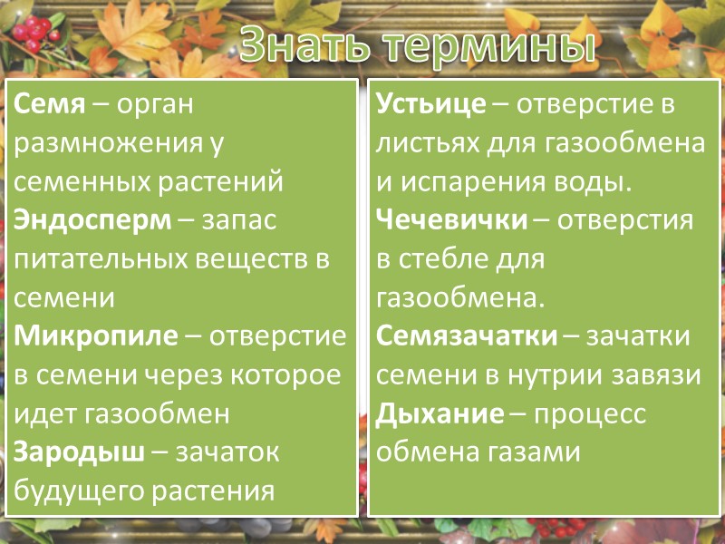 Знать ответы на вопросы Напишите цикл  развития Кукушкиного льна