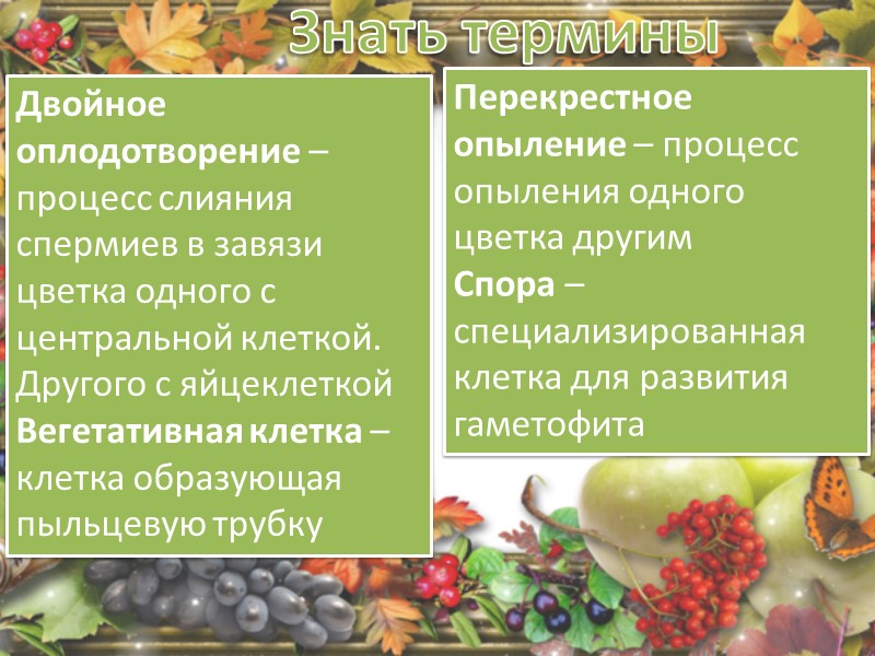 Знать ответы на вопросы Напишите цикл  развития голосеменных растений