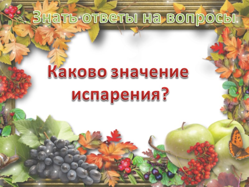 1. Взрослая особь образует два вида шишек: мужские мелкие у основания побегов и женские