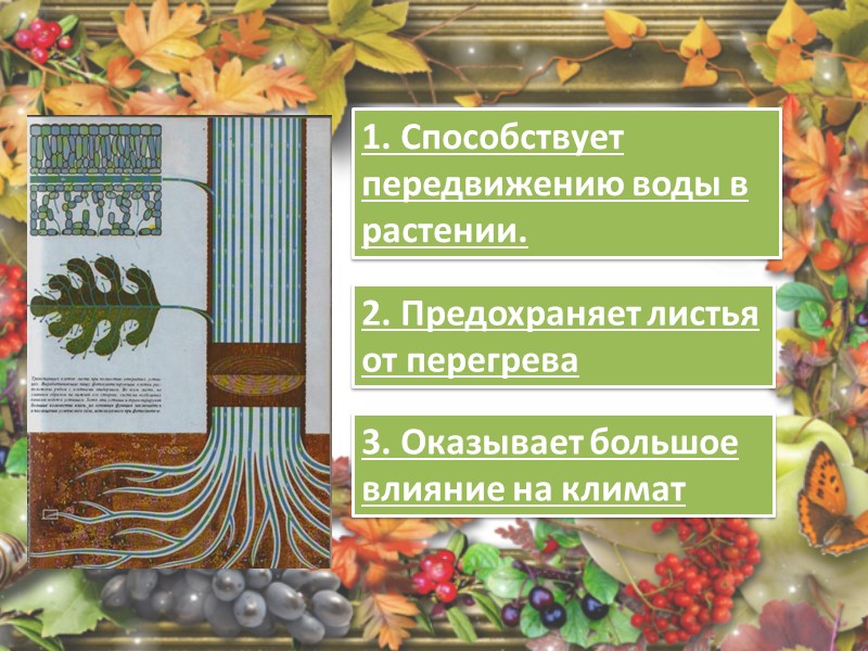 Уметь подписывать рисунок