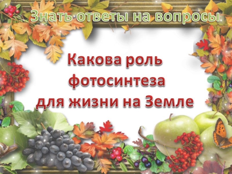 Знать ответы на вопросы Приведите опыт доказывающий  испарение.