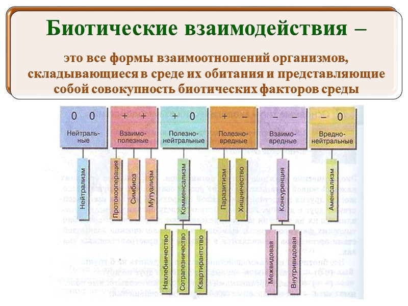 Схема биотические связи в природе