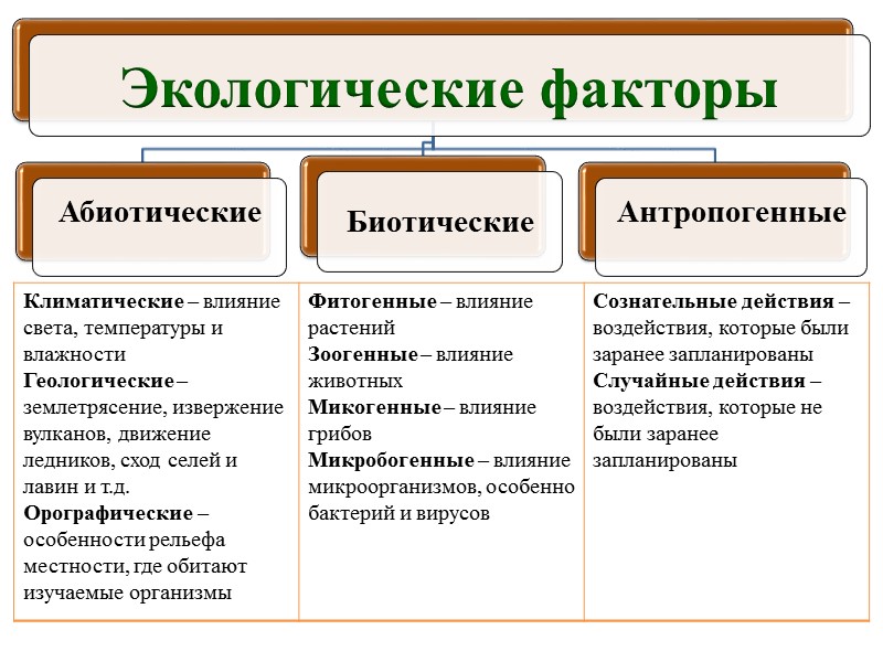 Развитие вторичной сукцессии на покинутом сельскохозяйственном участке