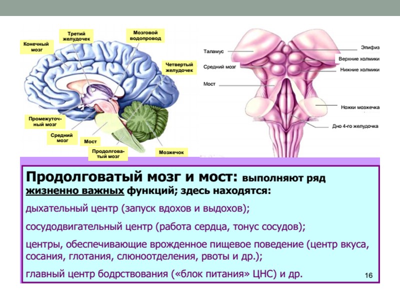 Расстройство схемы тела