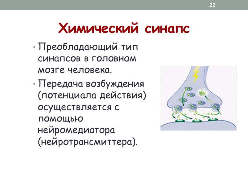 Процесс сенсорного восприятия  этапы:   1) регистрация действия раздражителя на рецепторы (рецепция)