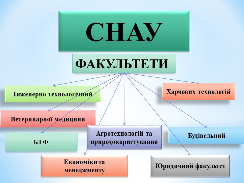 Бакалавр – освітньо-кваліфікаційний рівень вищої освіти особи, яка на основі повної загальної середньої освіти