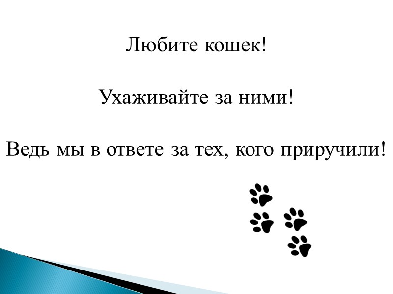 1. Подготовить эскиз домика  2. Замерить габариты кошки 3. Сделать чертёж 4. Вырезать