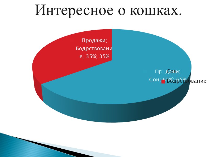 Любите кошек!  Ухаживайте за ними!  Ведь мы в ответе за тех, кого