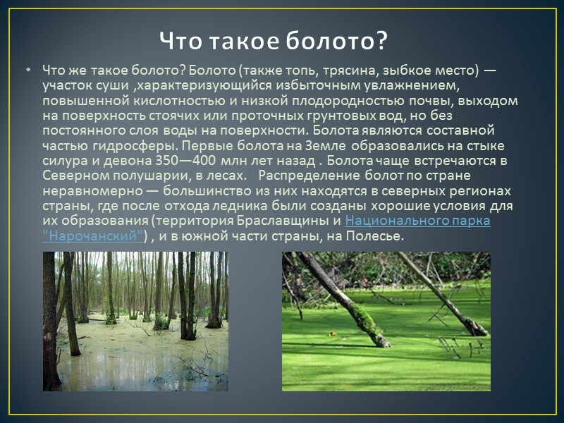 Почвы формируется в условиях избыточного увлажнения. Значение болота. Изучение болот. Что такое болото кратко. Польза болот для человека.