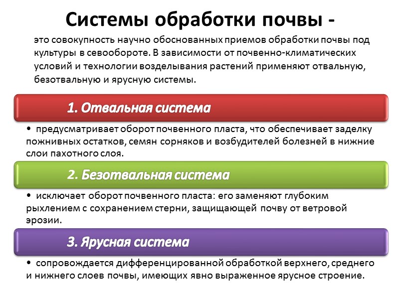 Возделывание зерновых по интенсивной технологии