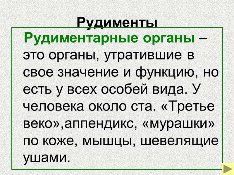 Зародышевое сходство: на ранних стадиях эмбрионы разных групп не различимы.
