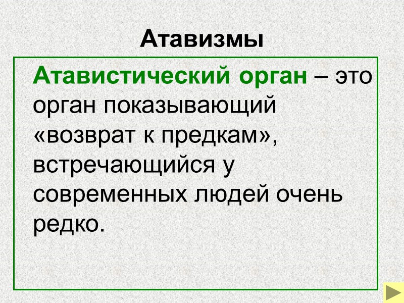 Ископаемые переходные формы    Ископаемые переходные формы –организмы сочетающие признаки древних и