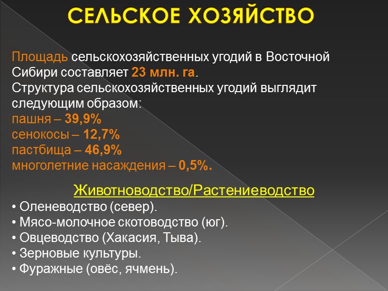 Хозяйство восточной сибири презентация