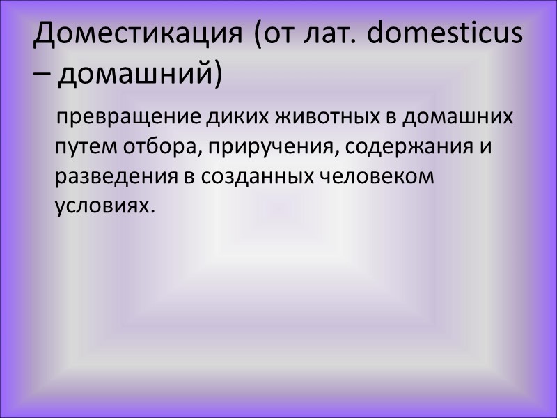 Другие виды быков Крупный рогатый скот Зебу - Bos indicus дикий предок полностью вымер(тур