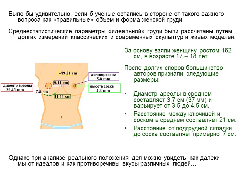 За основу взяли женщину ростом 162 см, в возрасте 17 – 18 лет. 