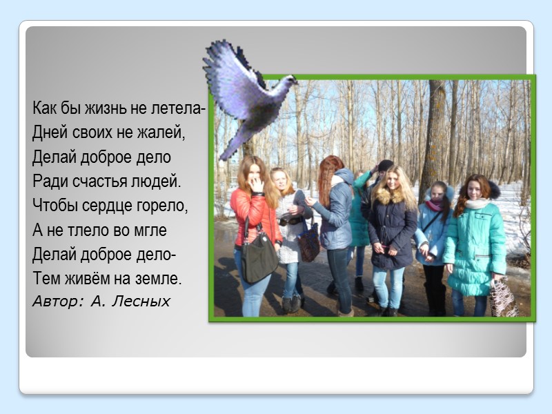 А в каких местах нам искать кормушки? Лучшие места для кормушек:  на окнах