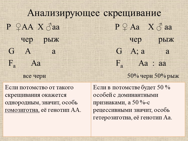 Домашнее задание:   Задача 1. В школьный уголок живой природы принесли двух серых