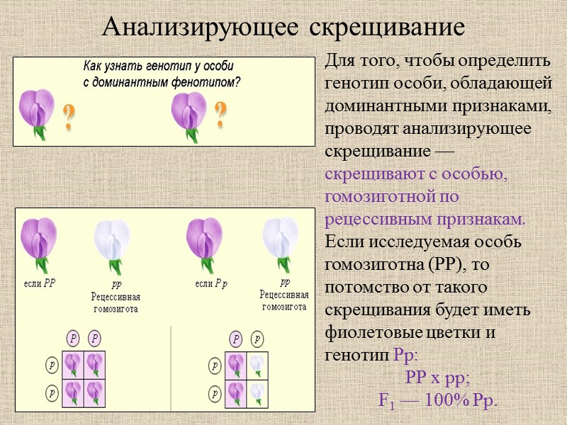 Рефлексия. Оцените свой уровень знаний по трех бальной системе оценки: высокий уровень, средний уровень,