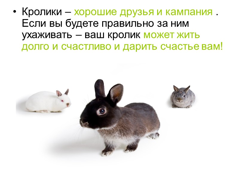 Когда мы только купили  Тосю она была настолько маленькой , что помещалась в