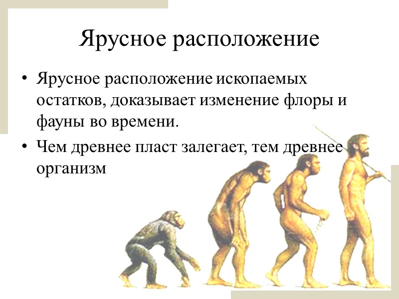 Доказаны изменения. Становление эволюционного учения. Доказательства эволюции.. Идея эволюции доказывает:. Значения ископаемых остатков как доказательств эволюции. Ископаемые остатки являются доказательством эволюции.