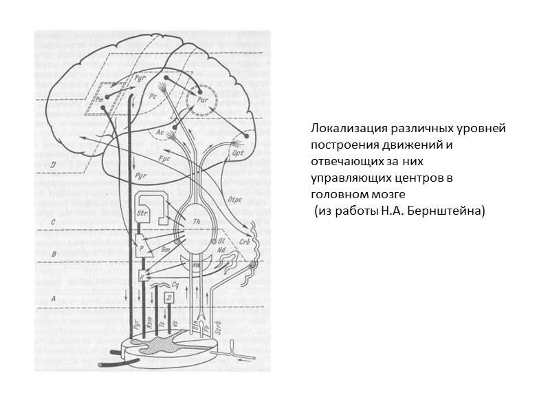 Обработка  изображения по  методу  ГИА – 5 (Н.С. Полевой, 1998)