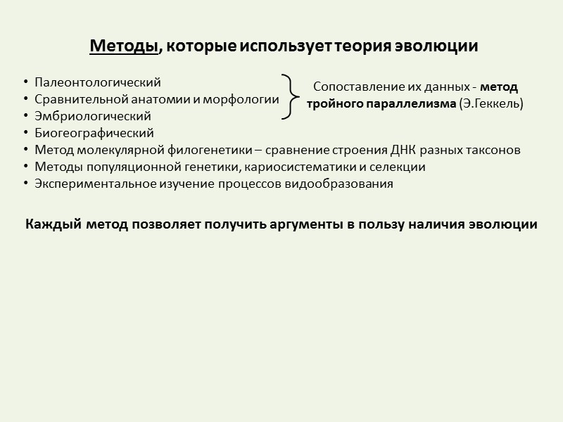 Галапагосские острова – архипелаг, который состоит из 13 больших и 6 мелких островов, имеют