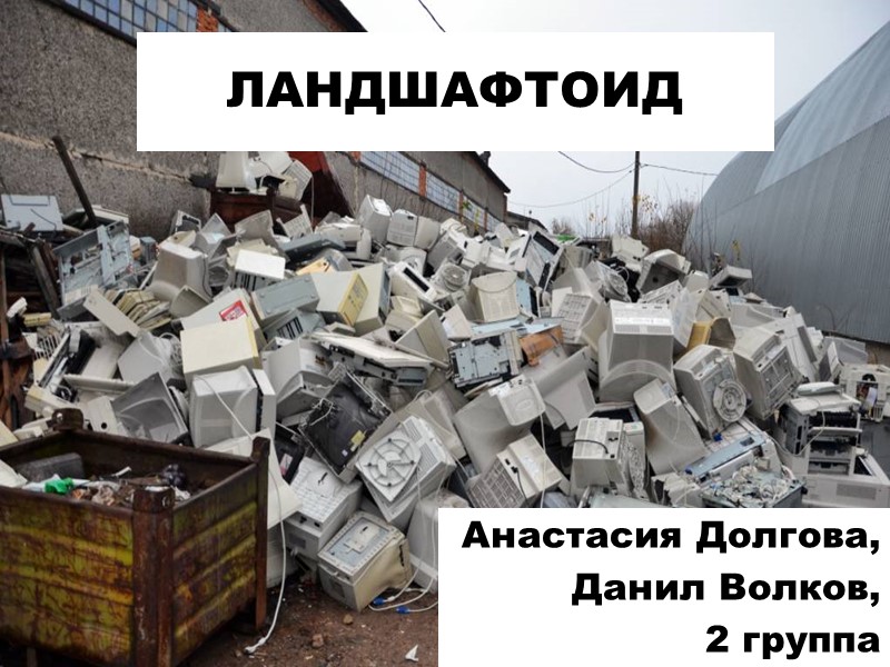 Анастасия Долгова, Данил Волков, 2 группа ЛАНДШАФТОИД