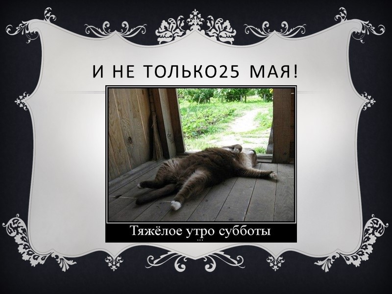 Я ЛЮБЛЮ ВАС!