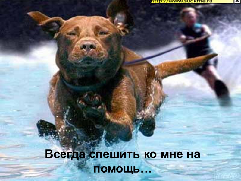 и сообразительным…