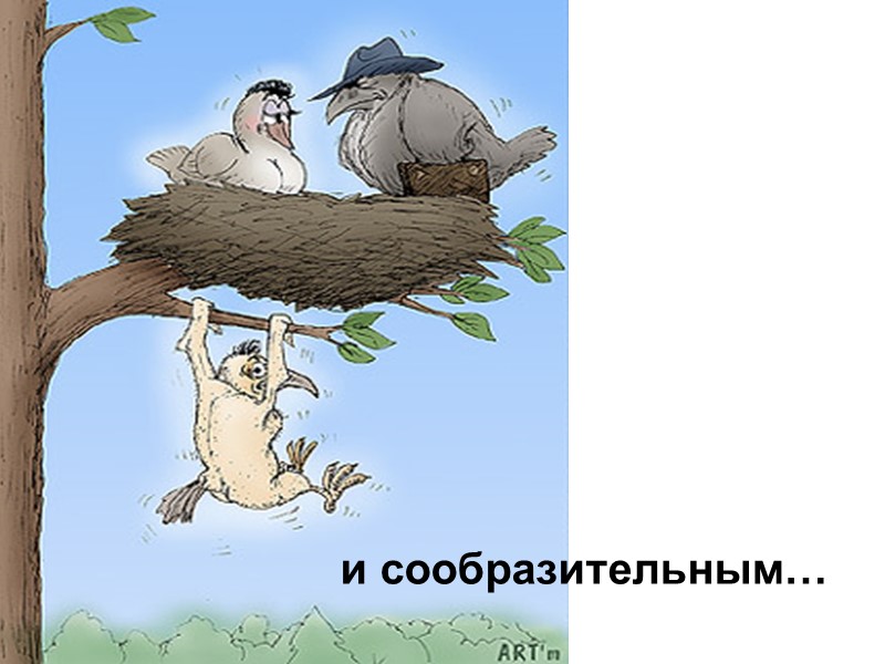 покладистым…