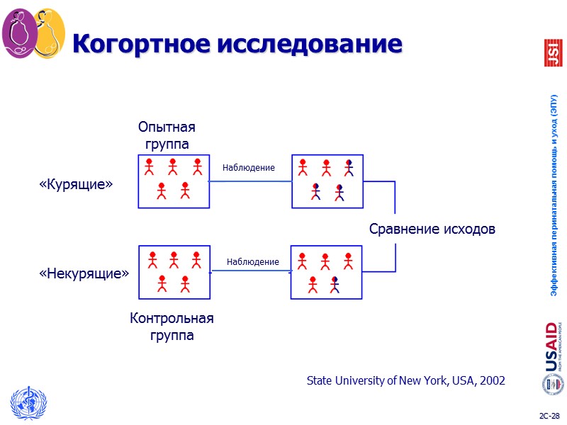 Двойное «слепое» исследование State University of New York, USA, 2002