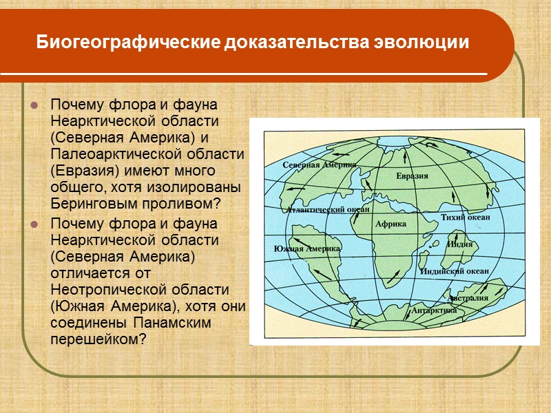 Биогеографические доказательства эволюции картинки